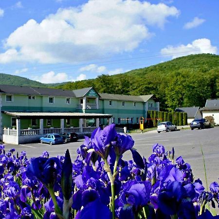 Hotel Biele Studnicky Dargov Zewnętrze zdjęcie