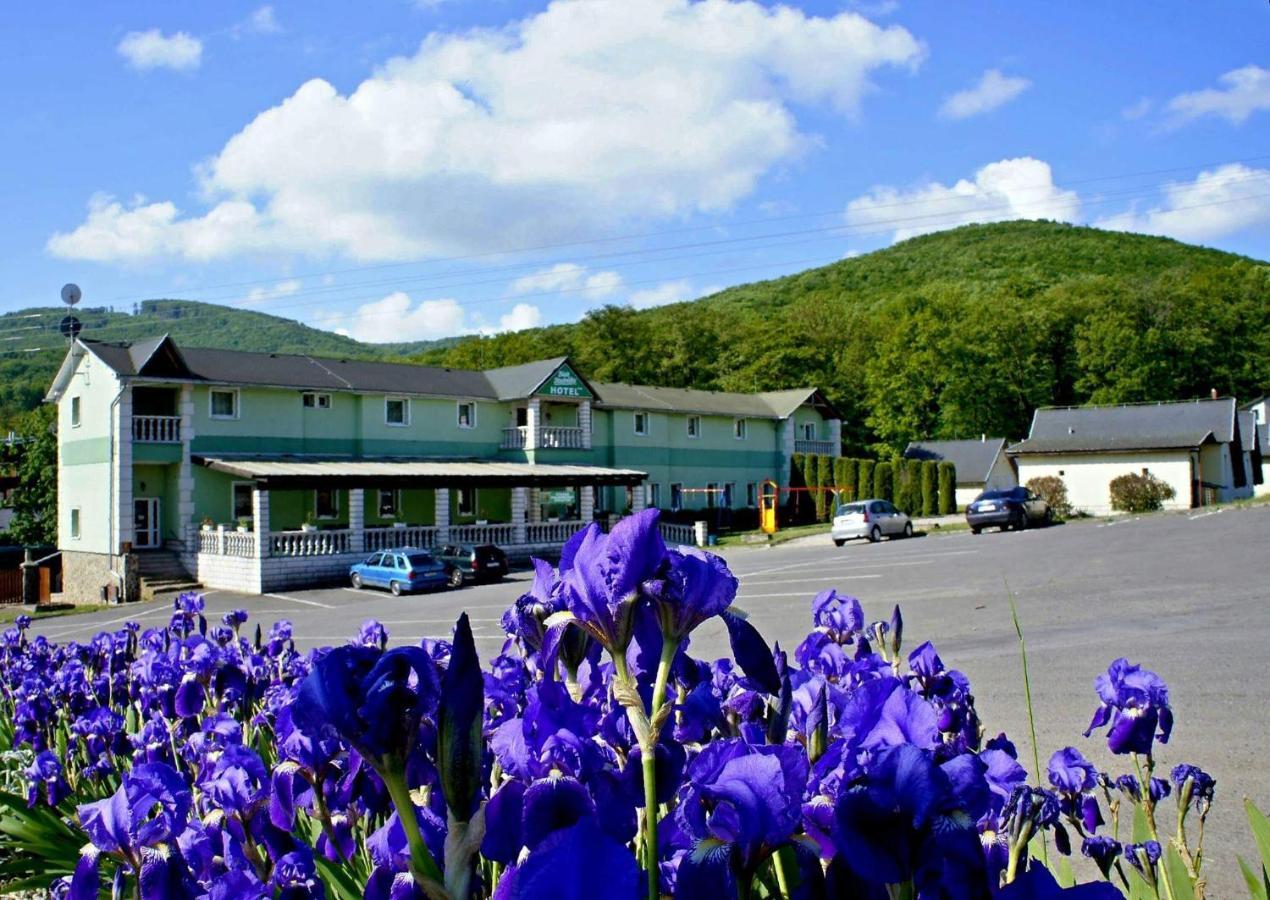 Hotel Biele Studnicky Dargov Zewnętrze zdjęcie